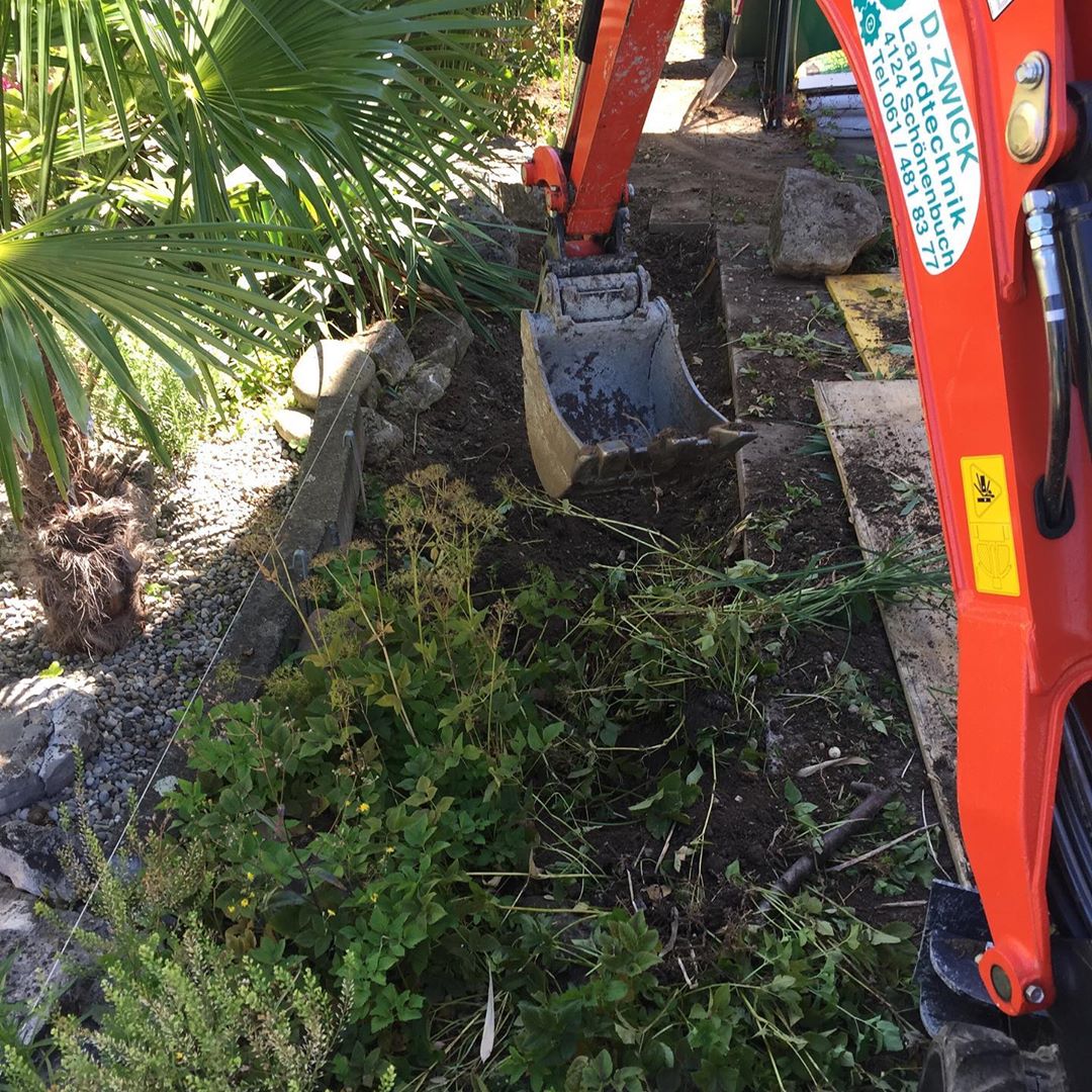 Neuanlagen, Landschafts- und Gartenbau Allschwil